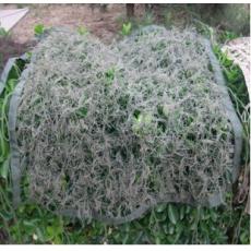 灰色美式伪装网